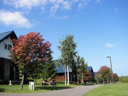 Bロッジ(ログハウスタイプ)